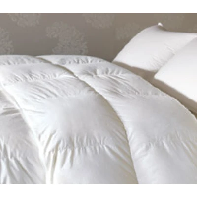 Prestige Ravenna Comforter