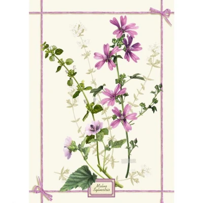 Fragrance Malva Kitchen Towel