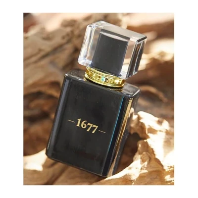 Gentlemen 1677 Cologne