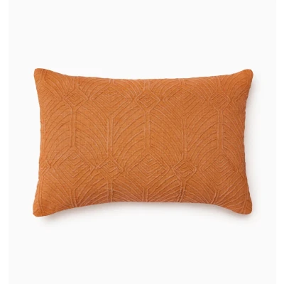 Ruggenti Decorative Pillows