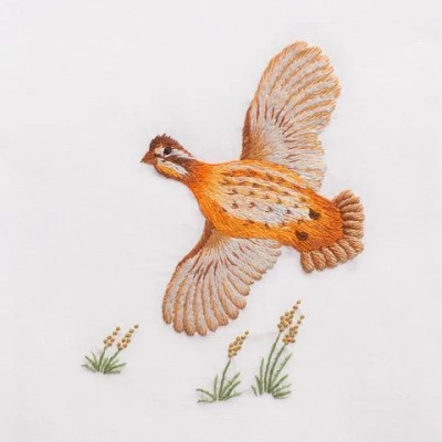 Quail in Flight