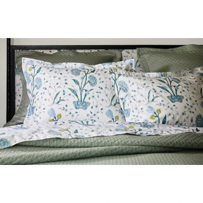 Matouk Schumacher Khilana