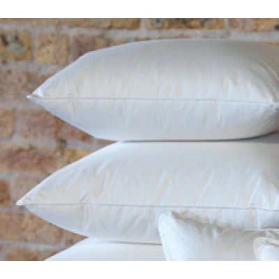 Decorative Pillows Inserts