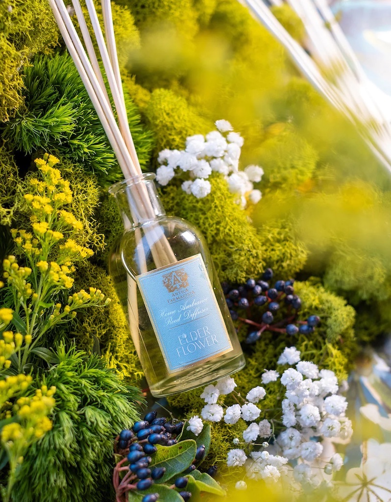 Elderflower