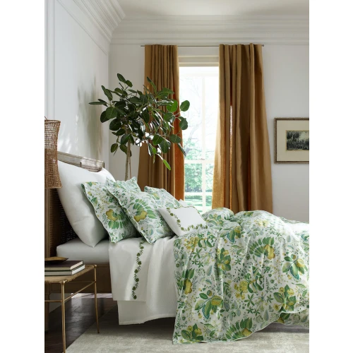 Schumacher Collection