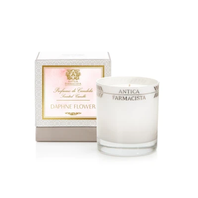 Daphne Flower Candle