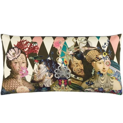 Le Curieux Pillow