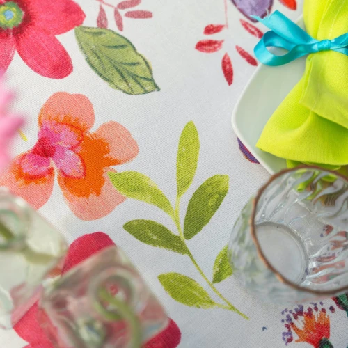 2025 Spring/Summer Introductions