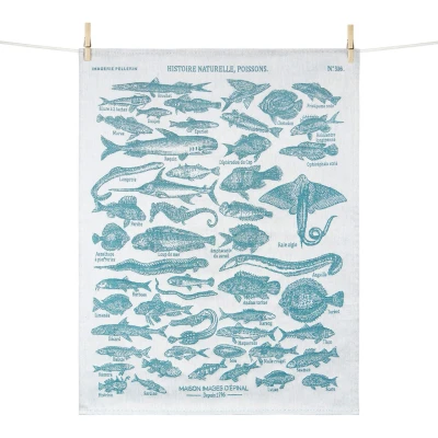 Histoire Naturelle Poissons