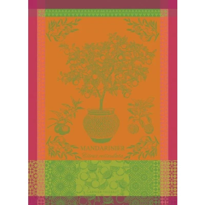 Madarinier Pot Orange